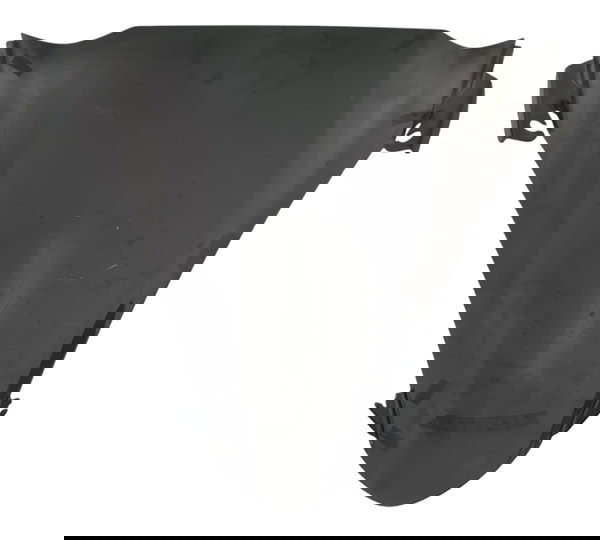 Bolha Honda Pcx 150 19/20 Original Descrição 51600