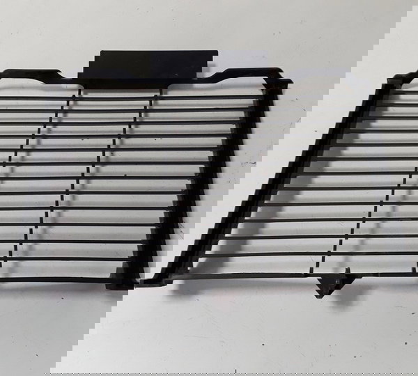 Protetor Radiador Fz6 N Fazer 600 07/08 Orig 50123 Preto