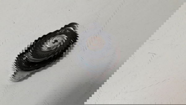 Tampa Radiador Yamaha Fz6 N Fazer 600 07/08 Orig 50119