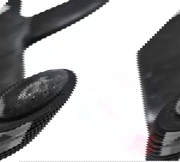 Pedal Cambio Yamaha Fazer 150 17/22 Orig Descrição 49607