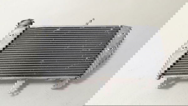 Radiador Agua Yamaha Mt 03 16/23 P/recuperar 49577
