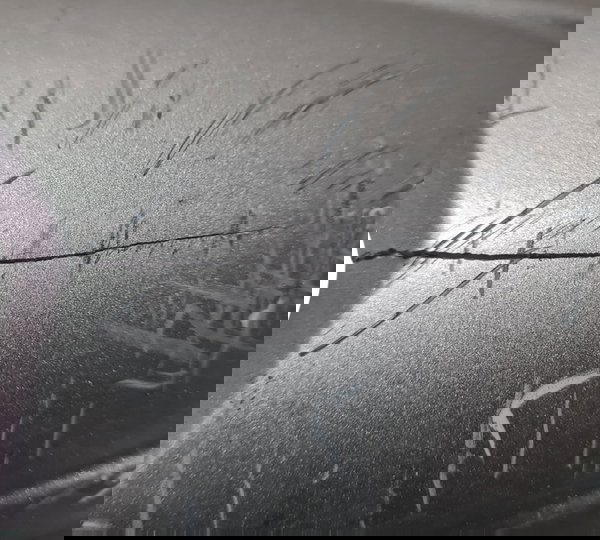 Protetor Escapamento Yamaha Fz15 Orig Detalhes 49593