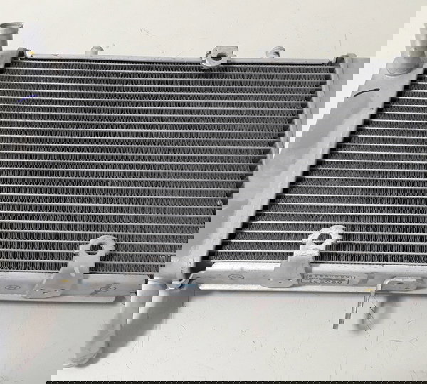 Radiador Agua Yamaha Xmax 250 Orig Detalhe 49534