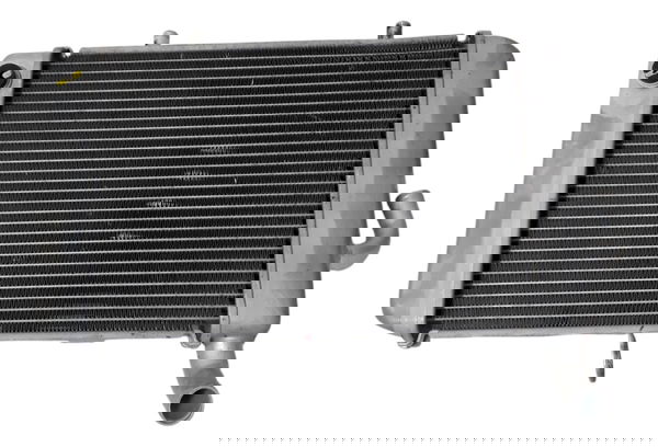 Radiador Agua Yamaha Xmax 250 Orig Detalhe 49534