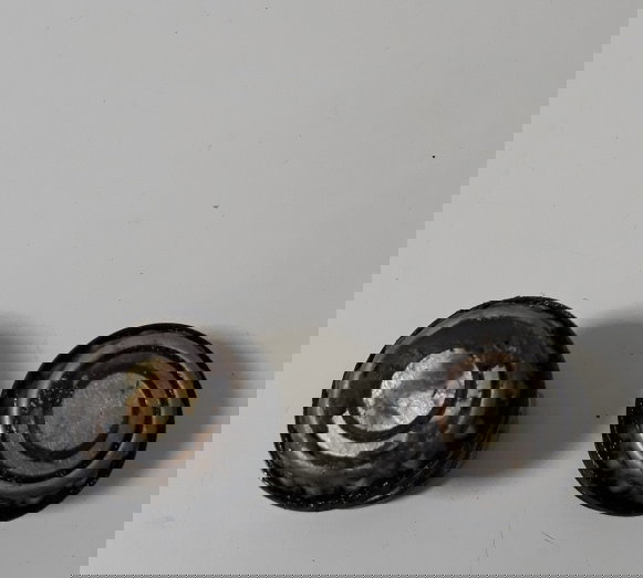 Parafuso Balança Quadro Elastico Honda Shadow 750 2009 35436