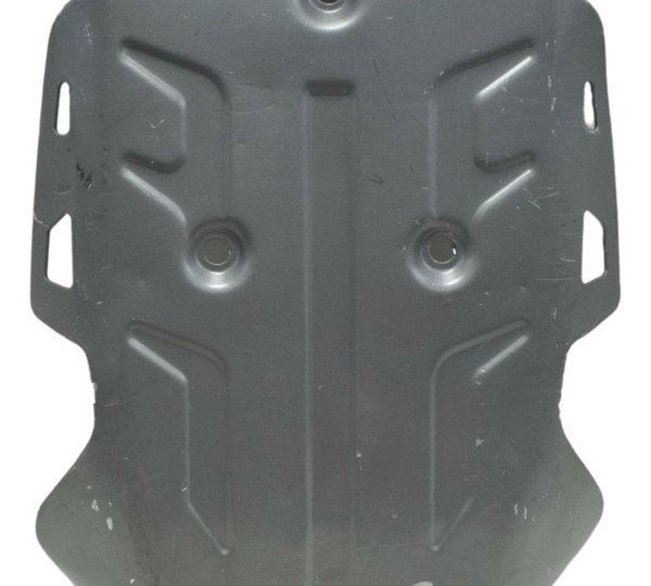 Protetor Carter C/ Detalhes Bmw R1250 R 1250 Gs 19-24 Orig