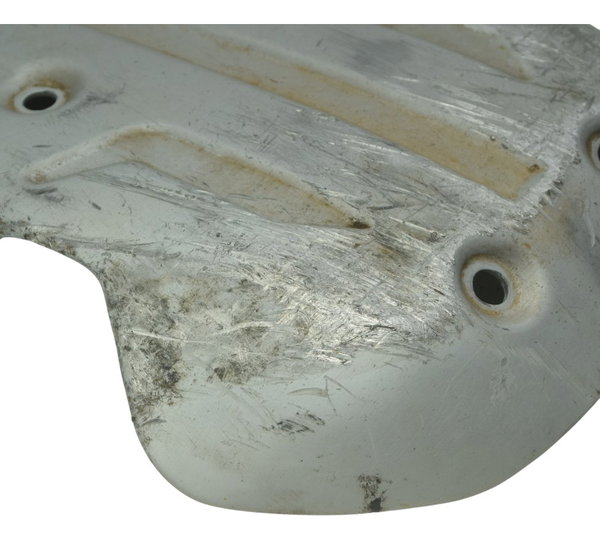 Protetor Carter C/ Detalhes Bmw R1250 R 1250 Gs 19-24 Orig