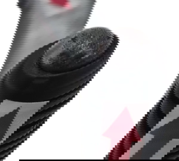 Pedal Cambio Yamaha Fazer 250 18/22 Orig Descriçao 51220