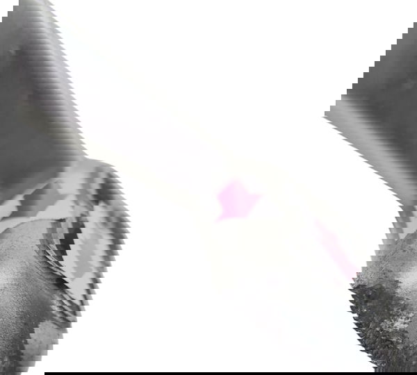 Pedal Freio Yamaha Fazer 250 18/24 Original Descrição 50974