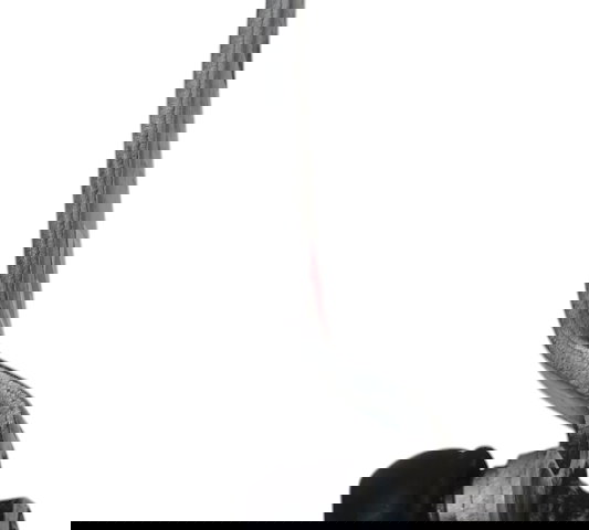 Pedal Cambio Kawasaki Versys 650 Original Descrição 50697