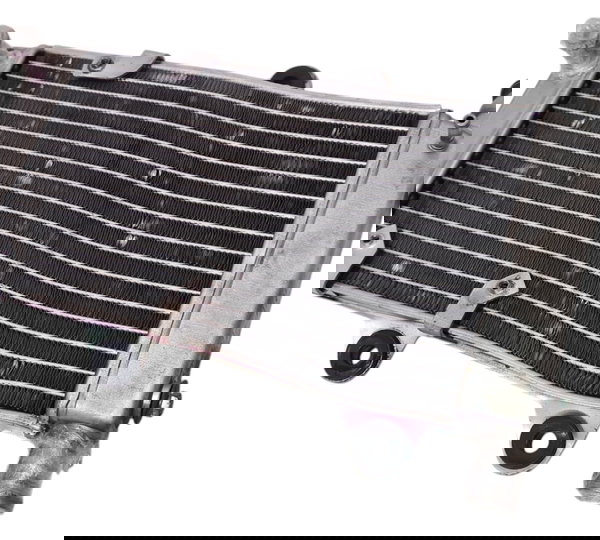 Radiador Água Yamaha Xt 660 2006 Orig Torto Avariado 49811