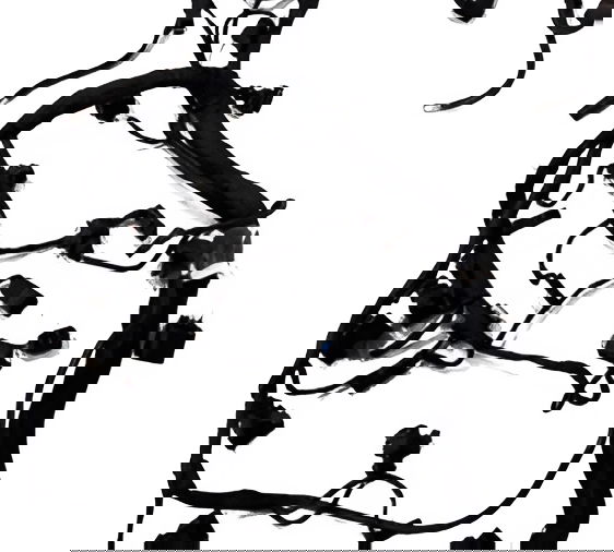 Chicote Injeção Bmw S1000 Rr 2011 Original 13903