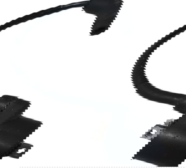 Bobina De Ignição Da Titan 150 2008 Original Descrição 49224