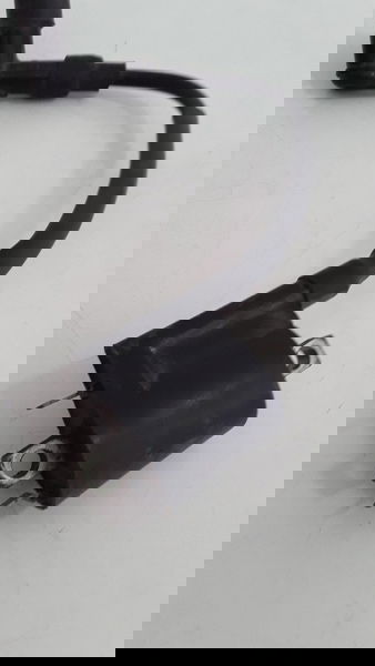 Bobina Ignição Yamaha Fazer 250 05/09 Original 16061