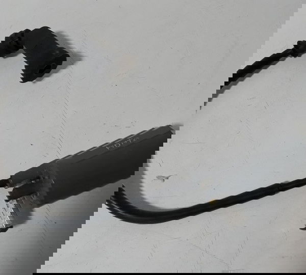 Bobina Faísca Suzuki Yes 125 En 2008 Original 18734