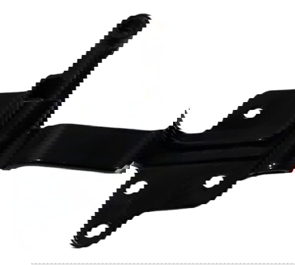 Suporte Pedaleira Diant Harley Heritage Softail 07/12 48845