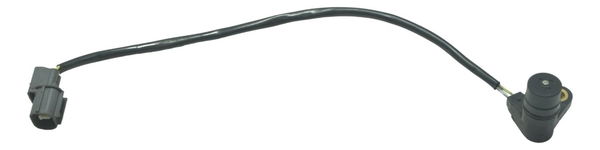 Sensor Rotação Kawasaki Z 750 08-12 Original