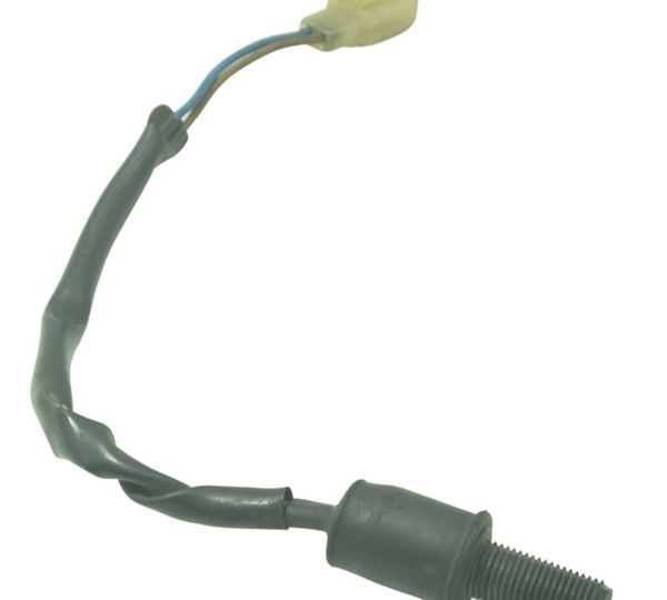 Interruptor Freio Traseiro Kawasaki Z 750 08-12 Original