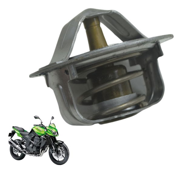 Válvula Termostática Kawasaki Z 750 08-12 Original