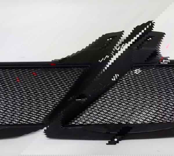 Grade Radiador Bmw F 800gs 2015 Ori 35479 Trincada Preto