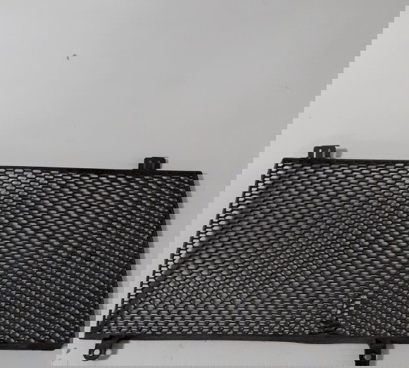 Grade Radiador Bmw F800 Gs 12/12 Orig 36062 Preto