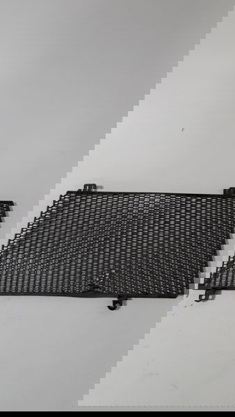 Grade Radiador Bmw F800 Gs 12/12 Orig 36062