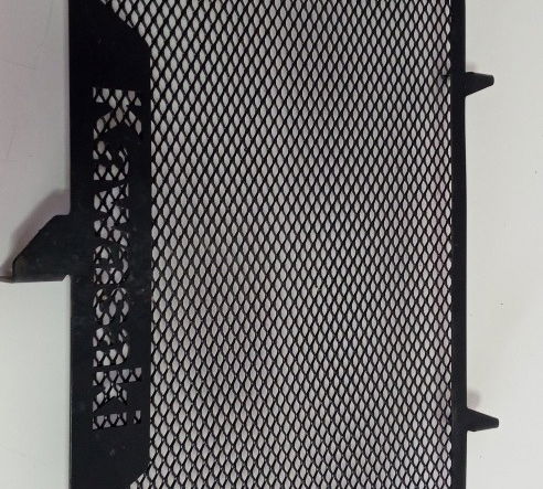 Protetor Tela Radiador Kawasaki Z900 2021 (14823)