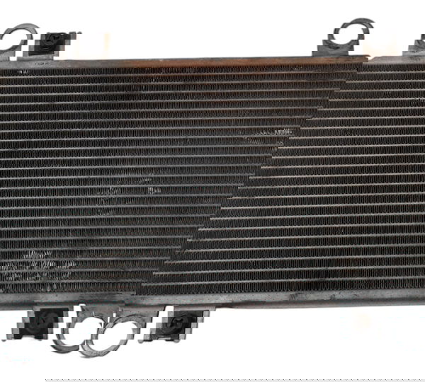 Radiador Agua Kawasaki Ninja 250 08/12 Ori 29489