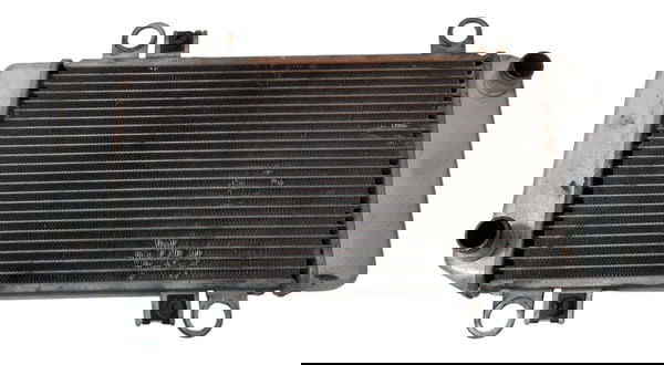 Radiador Agua Kawasaki Ninja 250 08/12 Ori 29489