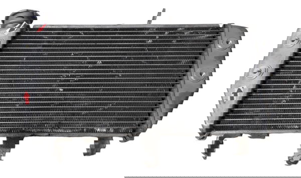 Radiador Agua Yamaha Mt 03 16/23 Orig Detalhe 46868