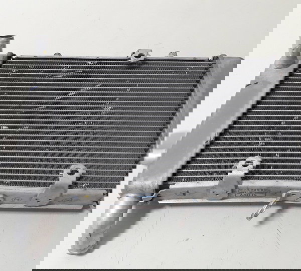 Radiador Agua Yamaha Xmax 250 Orig Detalhe 46867