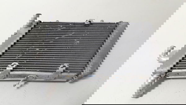 Radiador Agua Yamaha Xmax 250 Orig Detalhe 46867