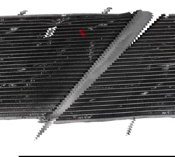 Radiador Agua Yamaha Xmax 250 Orig Detalhe 46867