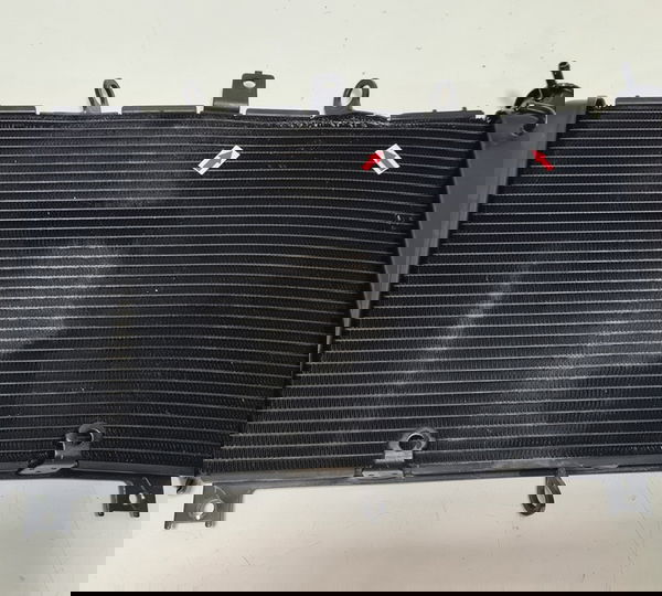 Radiador Água Kawasaki Z900 Rs Original Descrição 45044