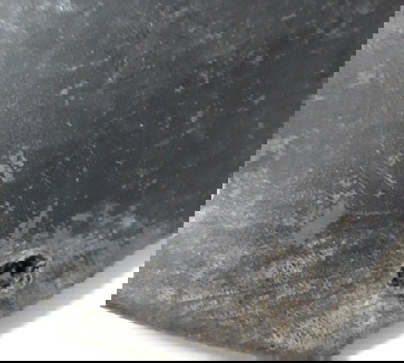 Tampa Protetor De Pernas Honda Biz 100 98/04 31647 Avaria Preto