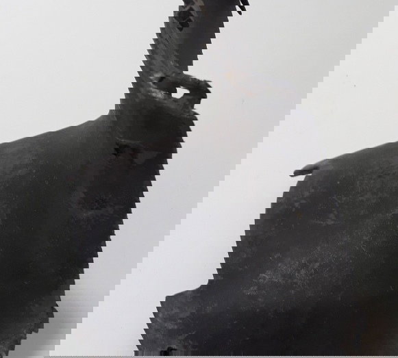 Tampa Protetor De Pernas Honda Biz 100 98/04 31647 Avaria Preto