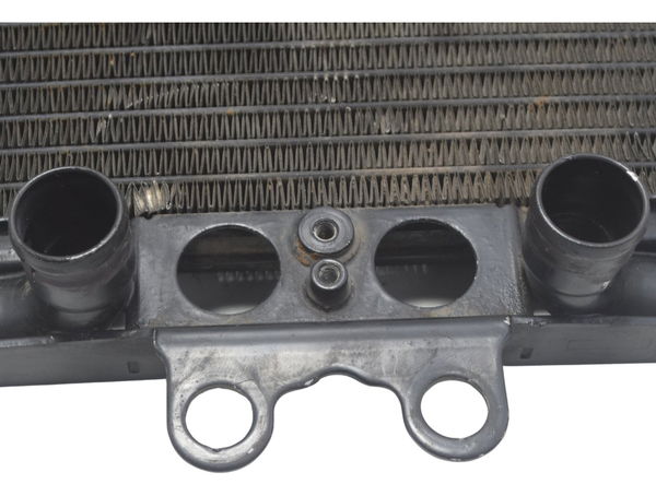 Radiador Água Harley V-rod Muscle 12-17 Original