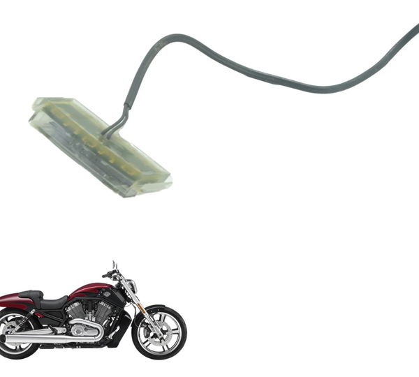 Luz Placa S/ Plug Harley V-rod Muscle 12-17 Original