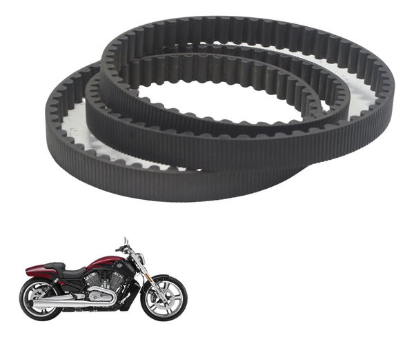 Correia Transmissão Harley V-rod Muscle 12-17 Original