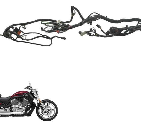 Chicote Principal Harley V-rod Muscle 12-17 Original