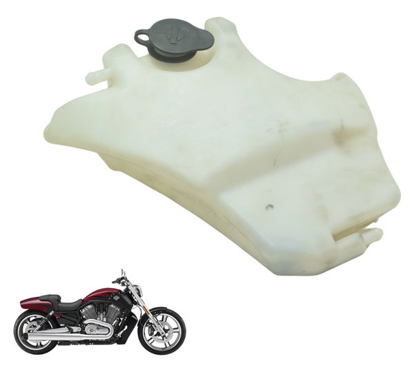 Reservatório Água Harley V-rod Muscle 12-17 Original