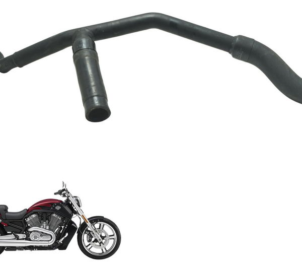 Mangueira Radiador Harley V-rod Muscle 12-17 Original