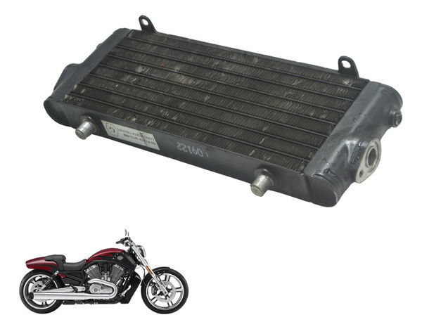 Radiador Óleo Harley V-rod Muscle 12-17 Original