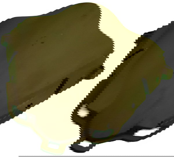 Bolha Honda Pcx 20177 (1068)