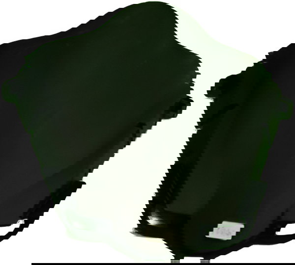 Bolha Honda Pcx 20177 (1066)