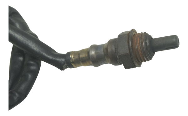 Sonda Lambda Dianteira Harley V-rod Muscle 12-17 Original