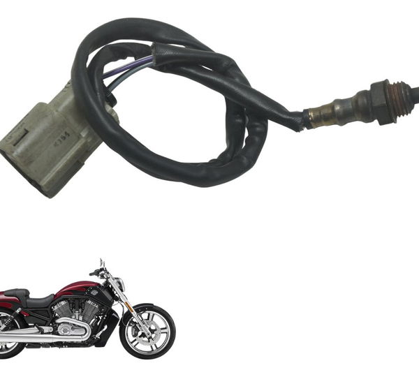 Sonda Lambda Dianteira Harley V-rod Muscle 12-17 Original