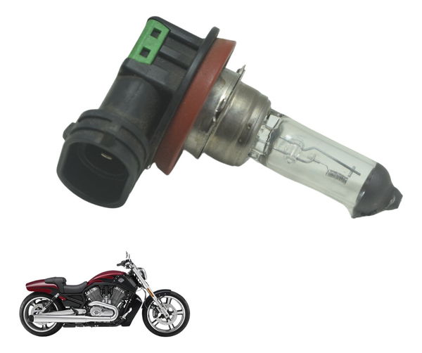 Soquete Lâmpada Harley V-rod Muscle 12-17 Original