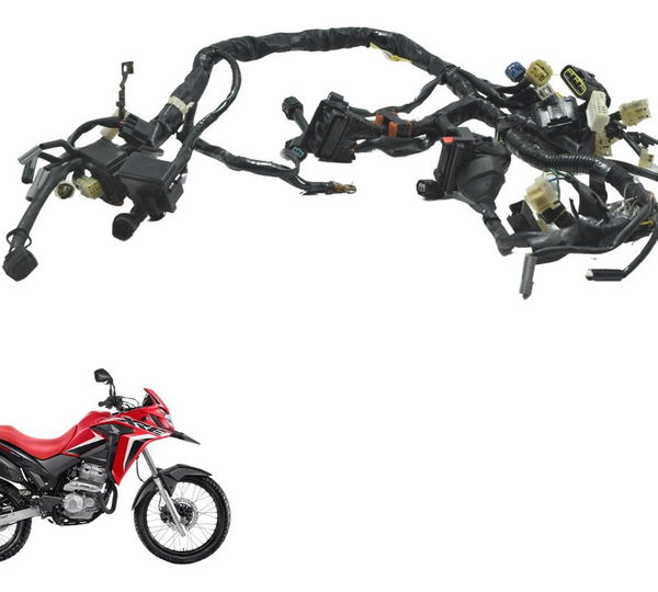 Chicote Principal Honda Xre 300 19-25 Original
