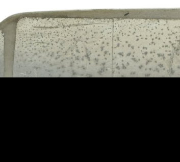 Protetor Escapamento Honda Xre 300 19-25 Original